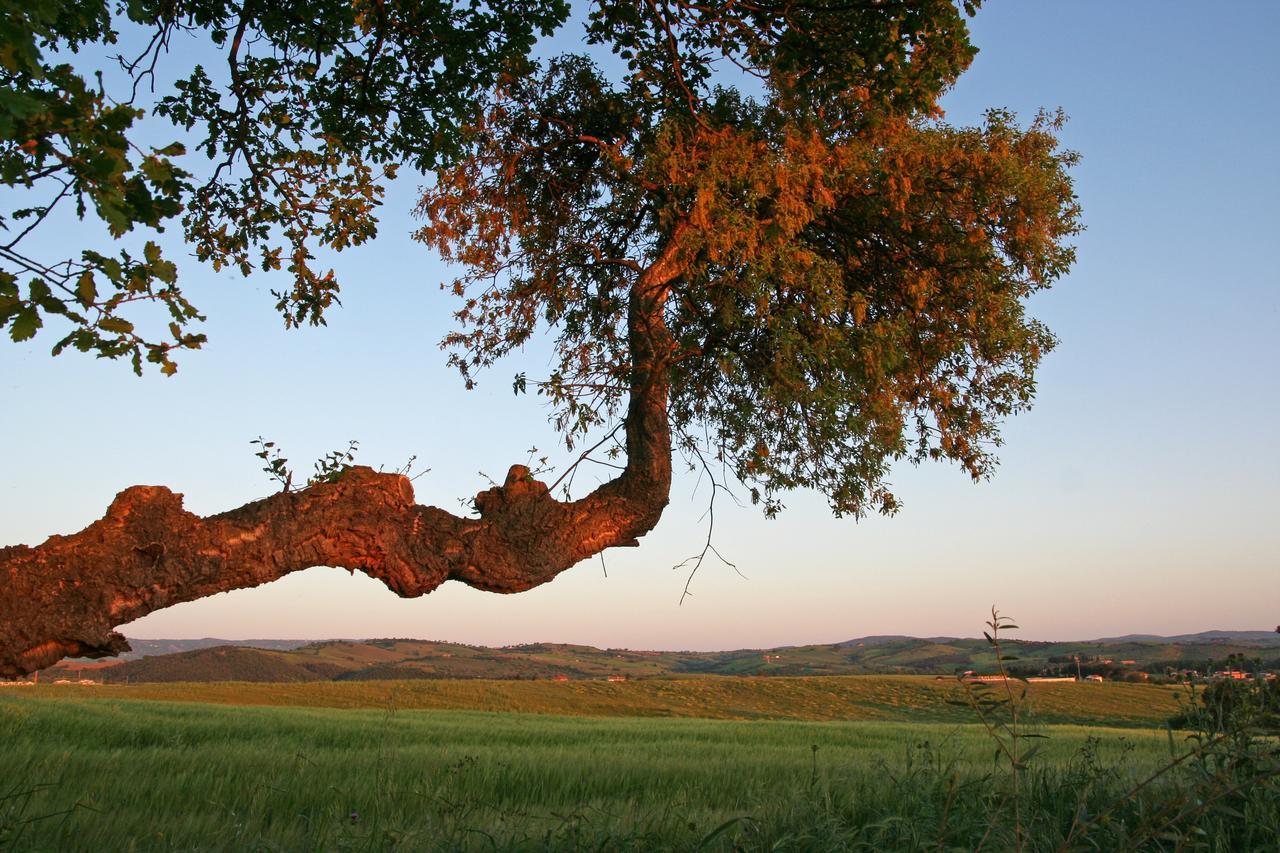 גרוסטו Agriturismo Il Forasacco מראה חיצוני תמונה